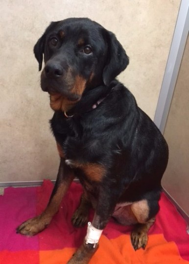 Kodah Beckley IMG_0121