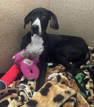 Orio Votava unnamed.jpg 2.jpg