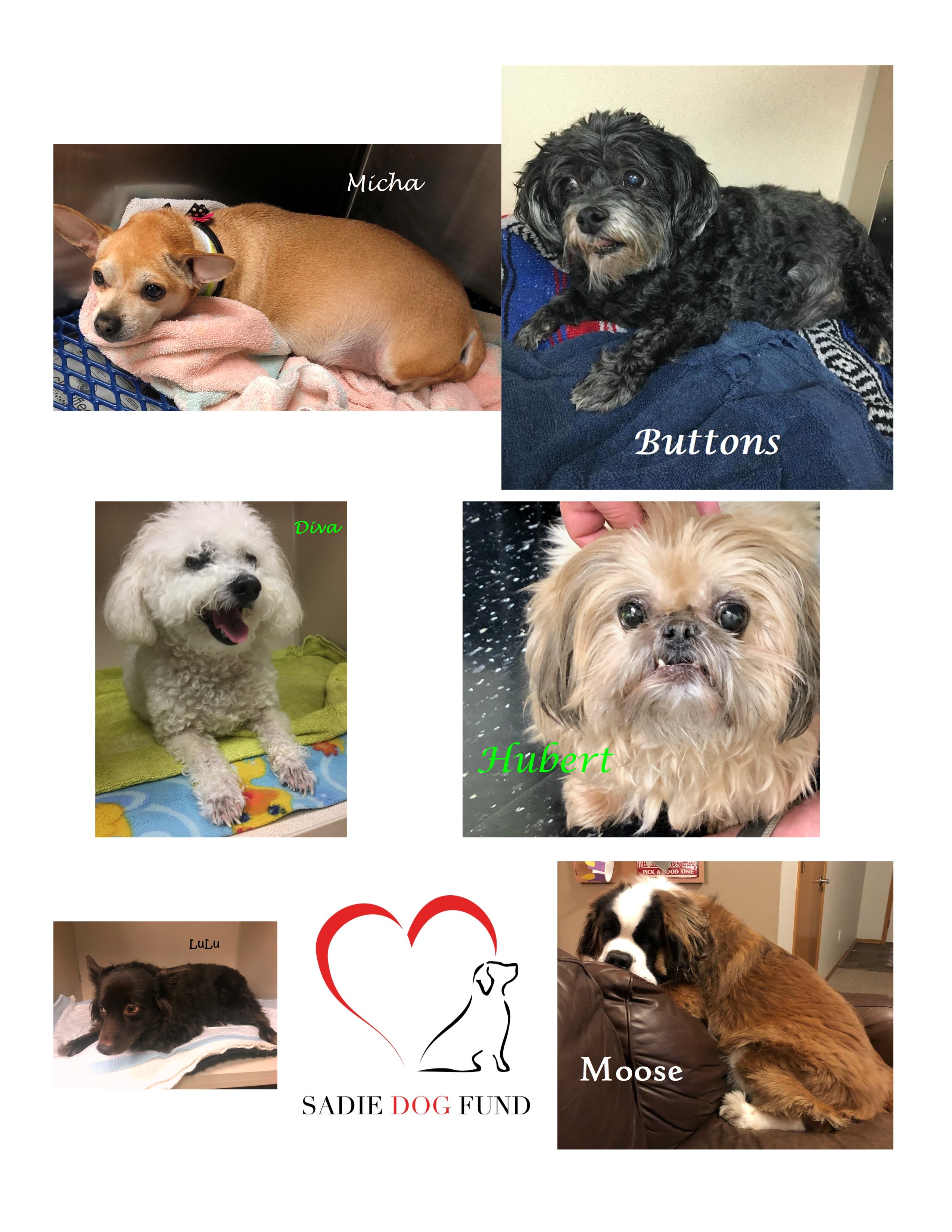 Collage Four 2019.jpg